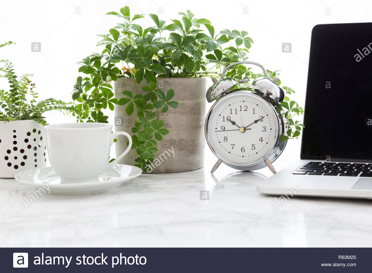 Coffee Cup Alarm Clock Open Laptop And Potted Plants On Marble