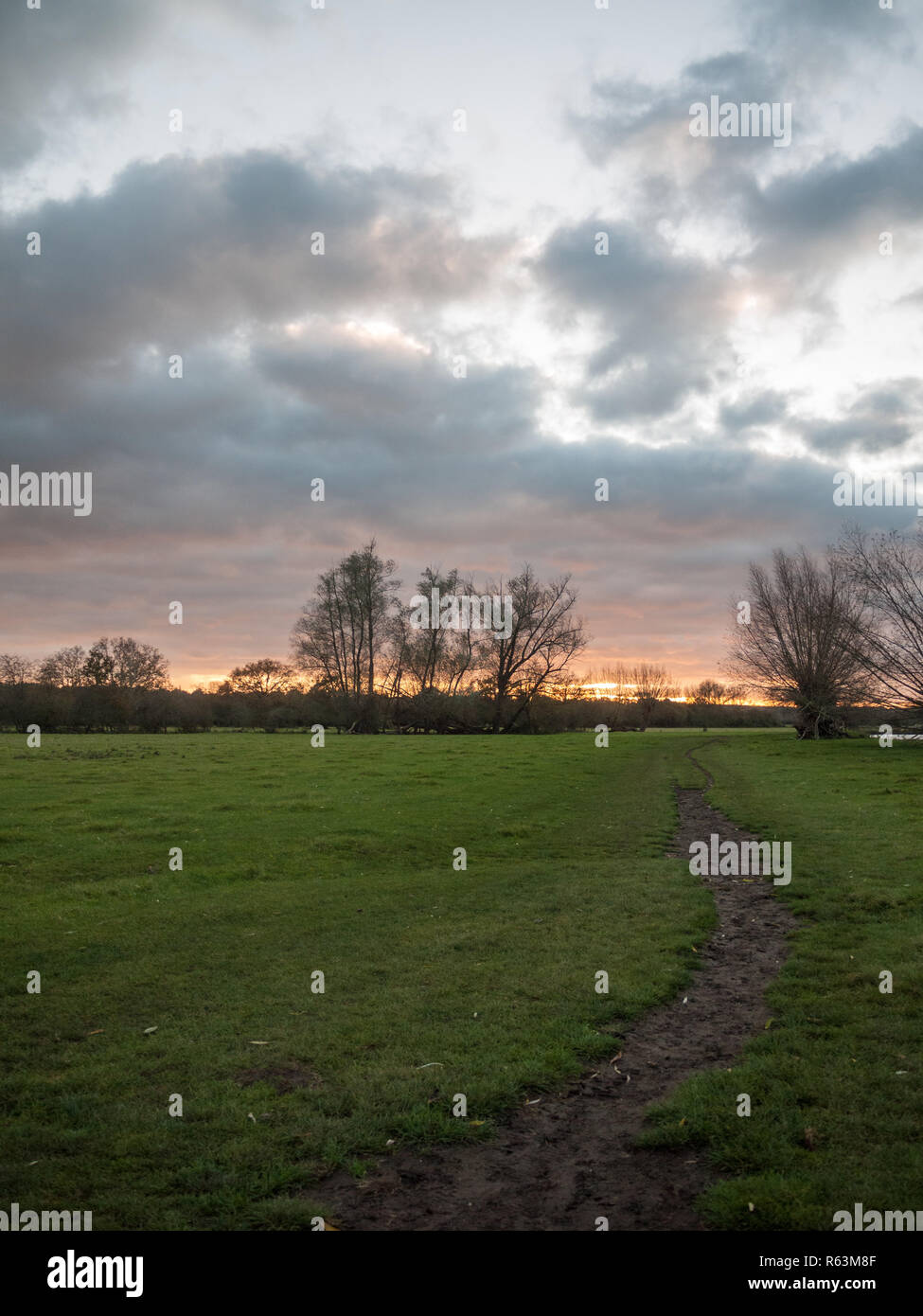 path through open flat plain country trees sky sunset dramatic Stock ...