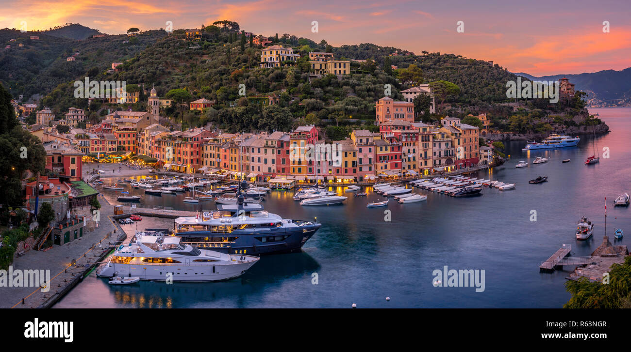 View of Portofino, Golfo Paradiso, Province of Genoa, Riviera di Levante, Liguria, Italy, Europe Stock Photo