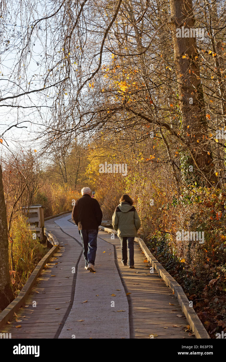 Man and woman from behind walking along a boardwalk on a forest trail in November, Deer Lake Park, Burnaby, Vancouver, BC, Canada Stock Photo