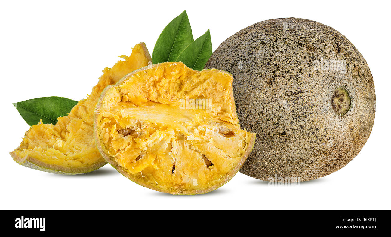 bael fruits or wood apple fruit (Aegle marmelos) on a white background