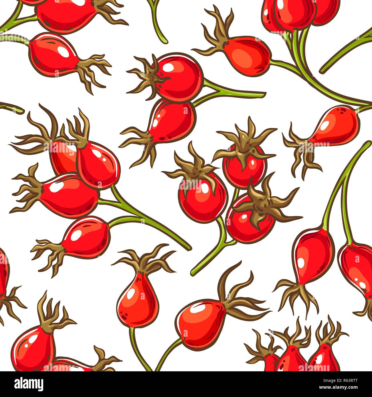 dog rose berries vector pattern on white background Stock Vector