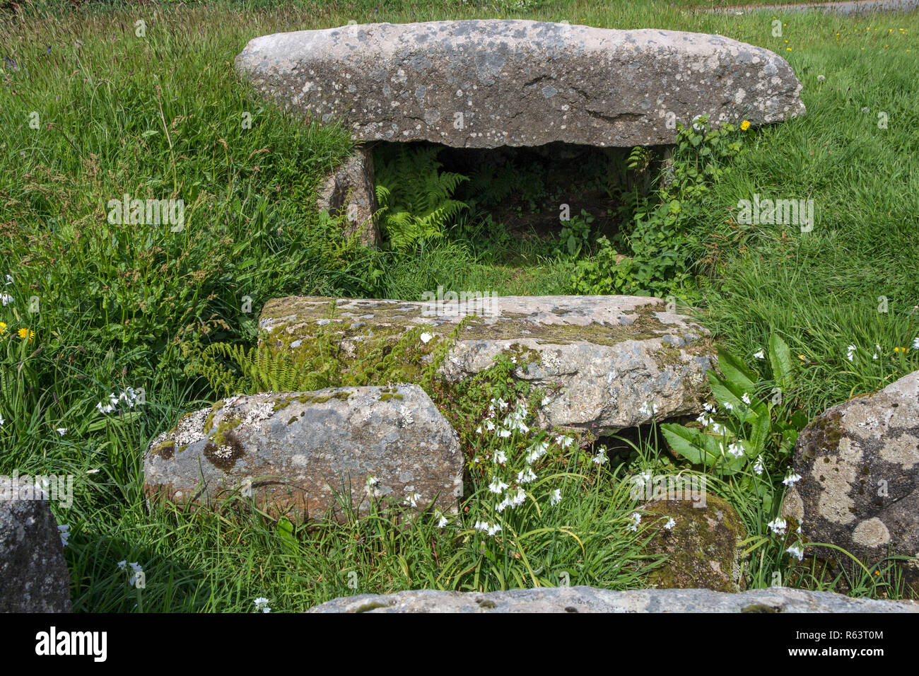 The Tregiffian Burial Chamber, a Neolithic or Early Bronze Age Tomb near St Buryan, Cornwall, UK Stock Photo