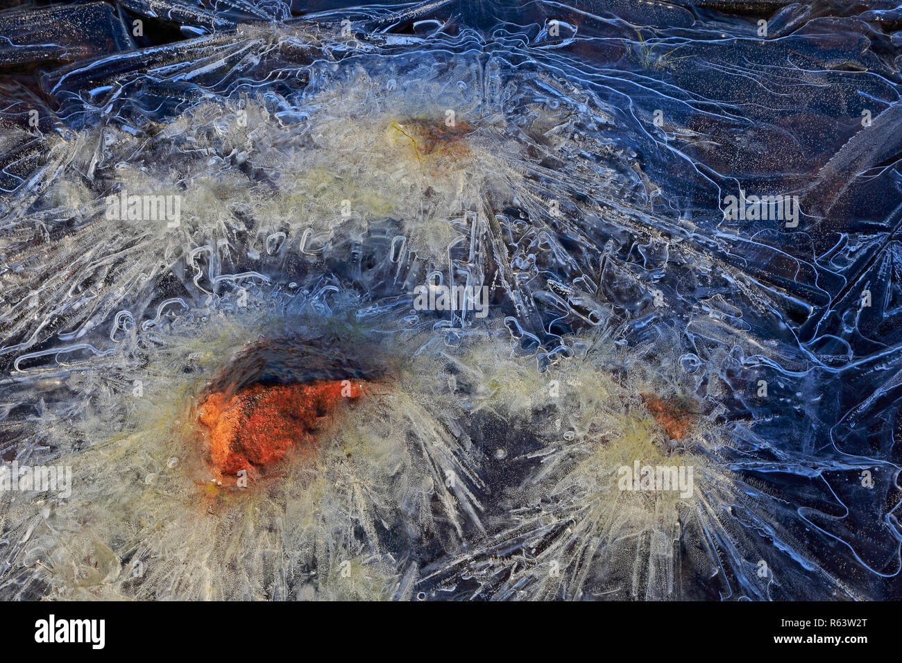 Ice Patterns in a frozen pond in Torridon Scotland Stock Photo