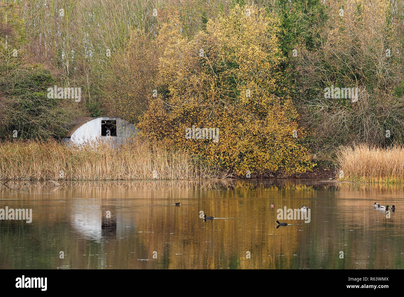 College rockwell hires stock photography and images Alamy