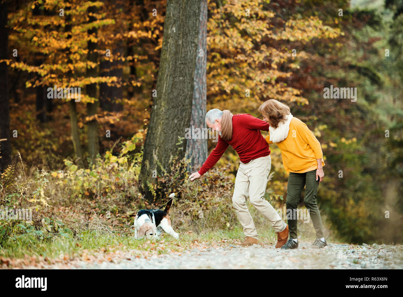A senior couple with a dog on a walk in an autumn nature Stock Photo ...
