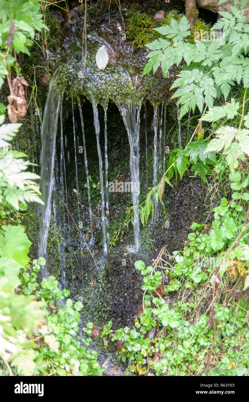 Bubbling Brook. close up of Water flowing in a small stream  Photographed in Stubaital, Tyrol, Austria Stock Photo