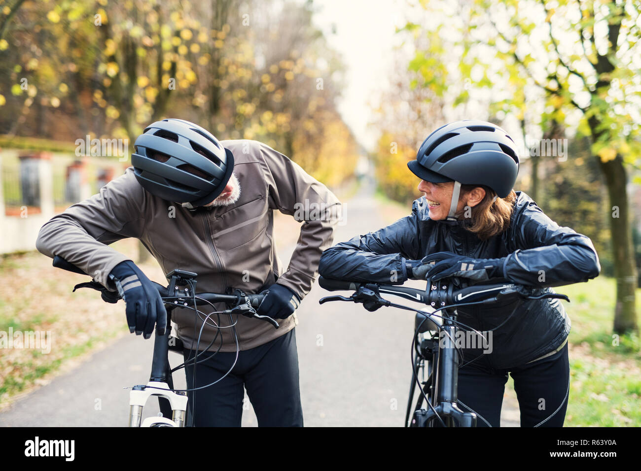 electrobikes