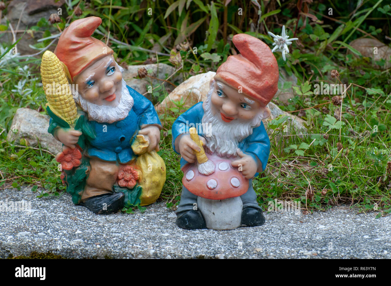 Two Garden Gnomes With A Mushroom Stock Photo Alamy