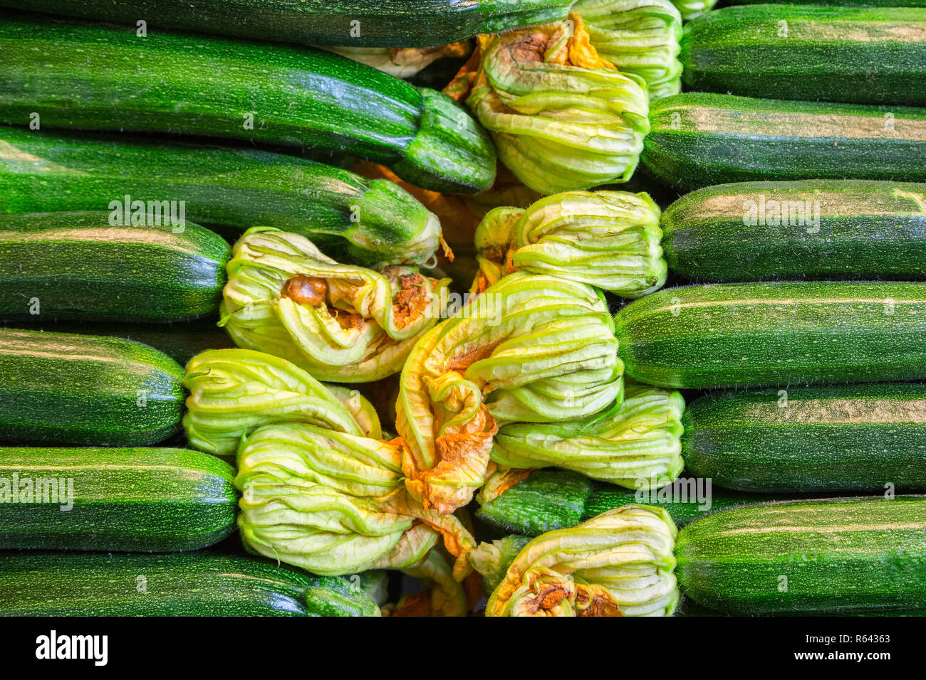 Zucchini for food background Stock Photo - Alamy