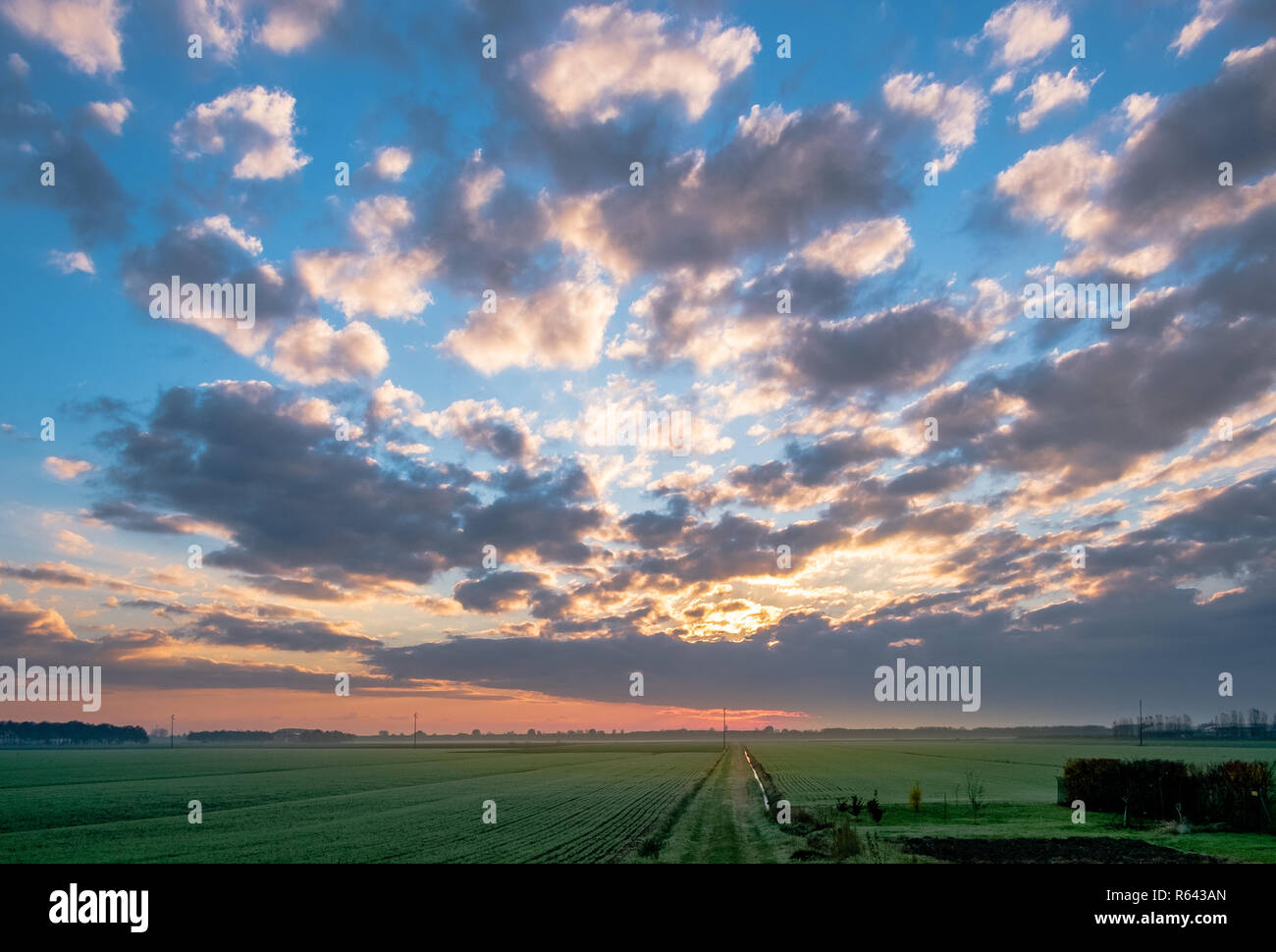 The sky in a winter sunrise. Lower Po Valley. Bologna province, Emilia Romagna, Italy. Stock Photo