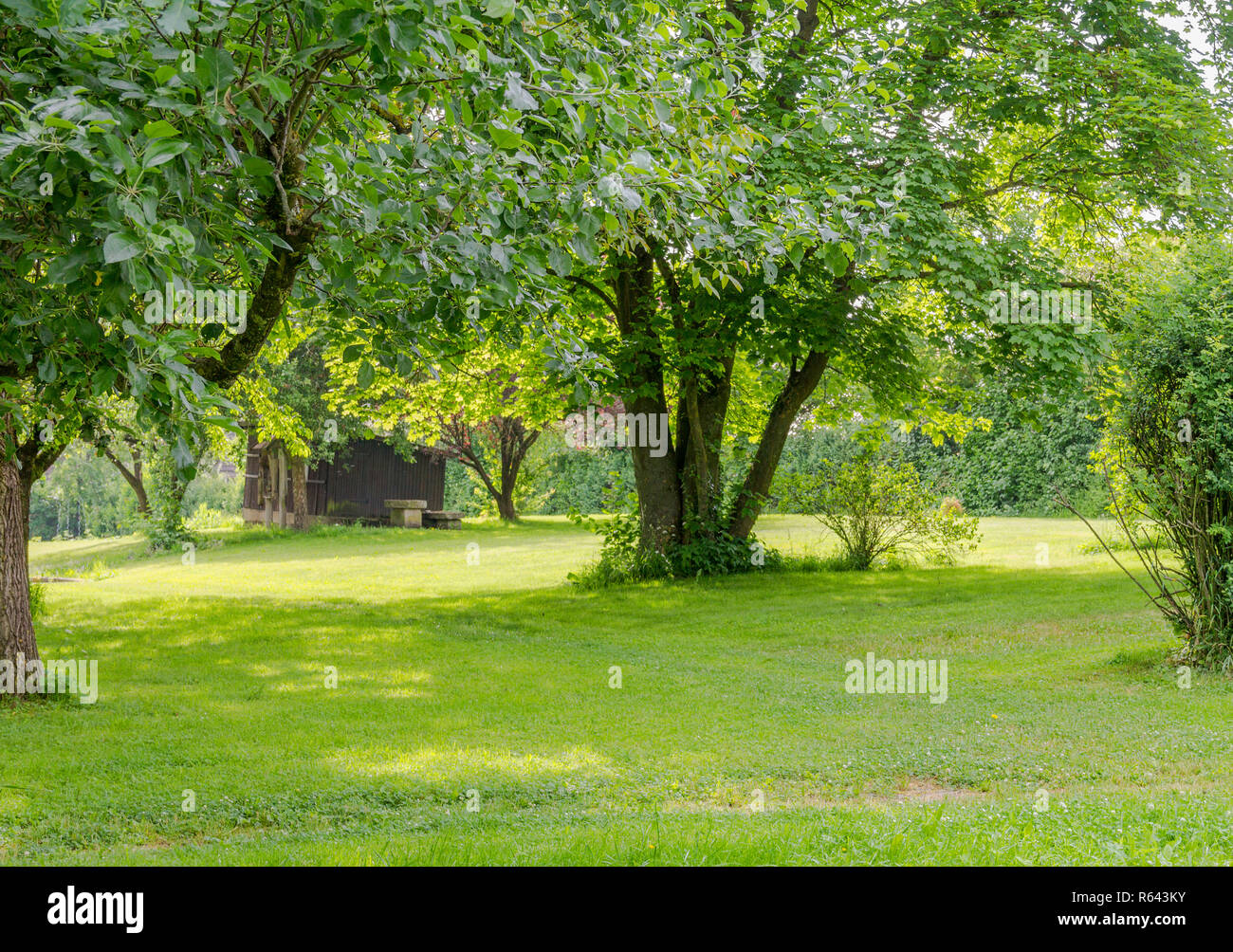 idyllic park scenery Stock Photo - Alamy