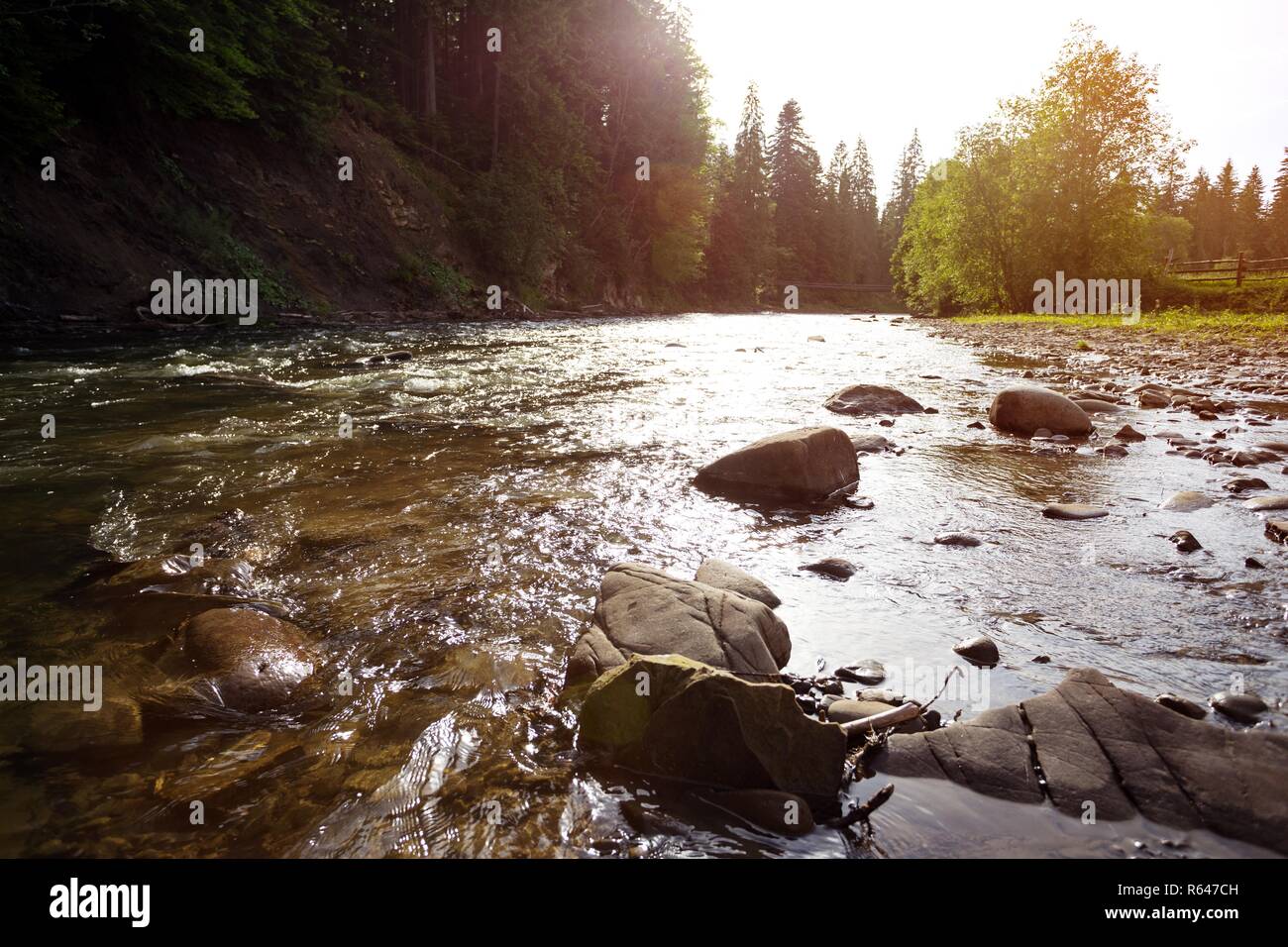 The mountain river Prut in the mountains of the Carpathians,  Ukraine Stock Photo