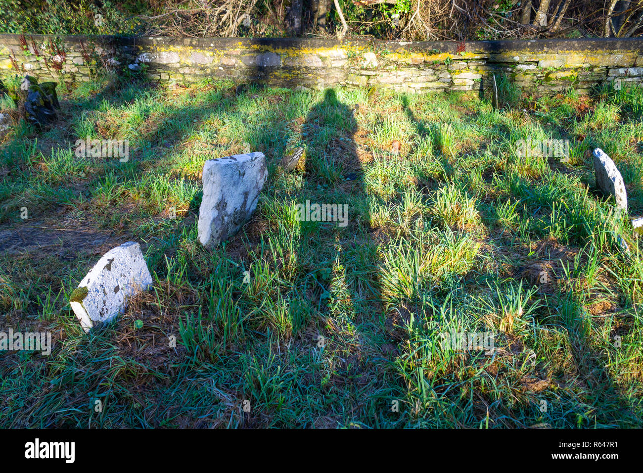 shadow or silhouette cast by early morning sun across old graves in a cemetery Stock Photo