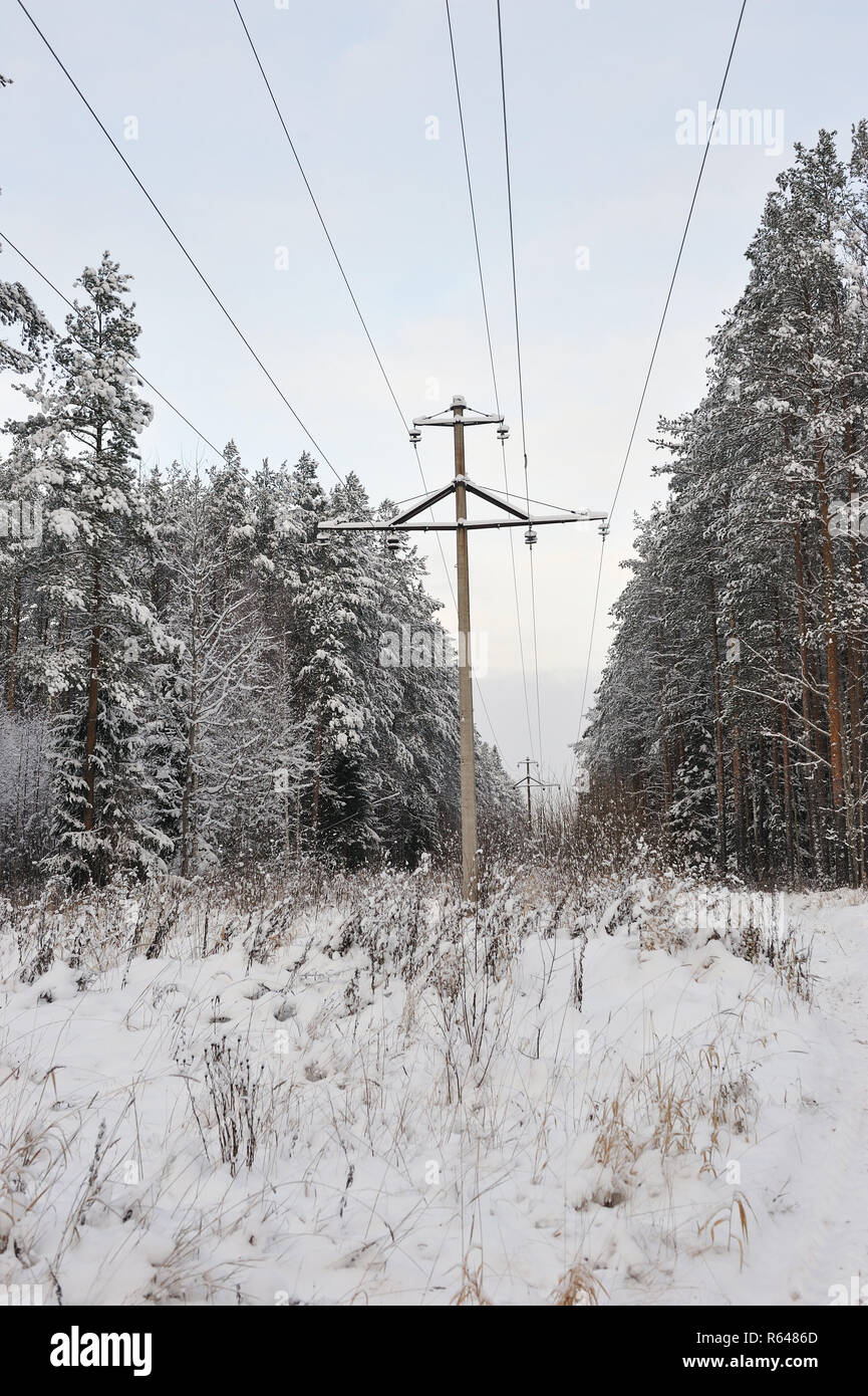 High-voltage line in the forest in one of the frosty days Stock Photo ...