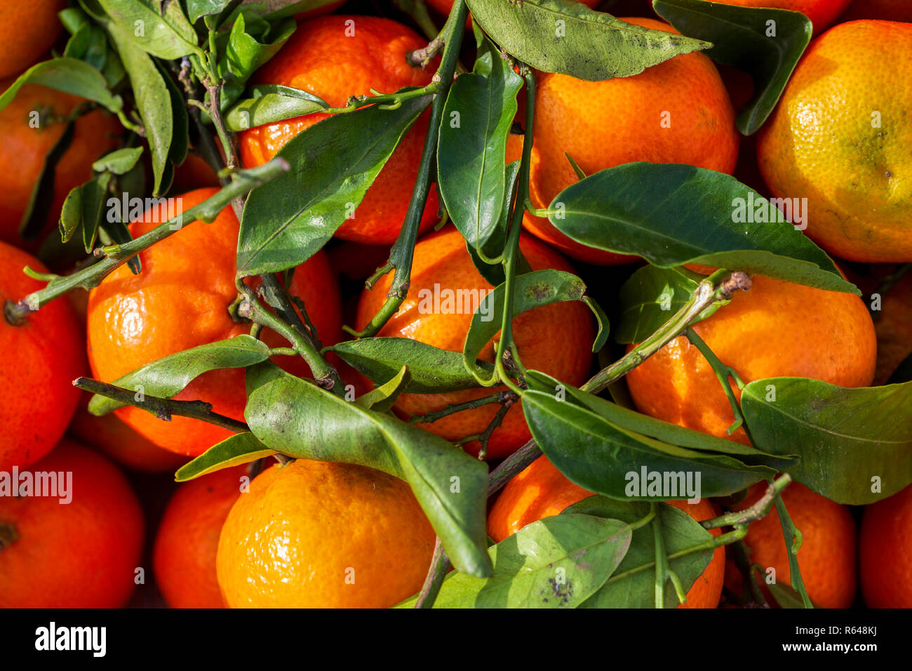 Mandarins that are fruits. Also called clementine Stock Photo Alamy