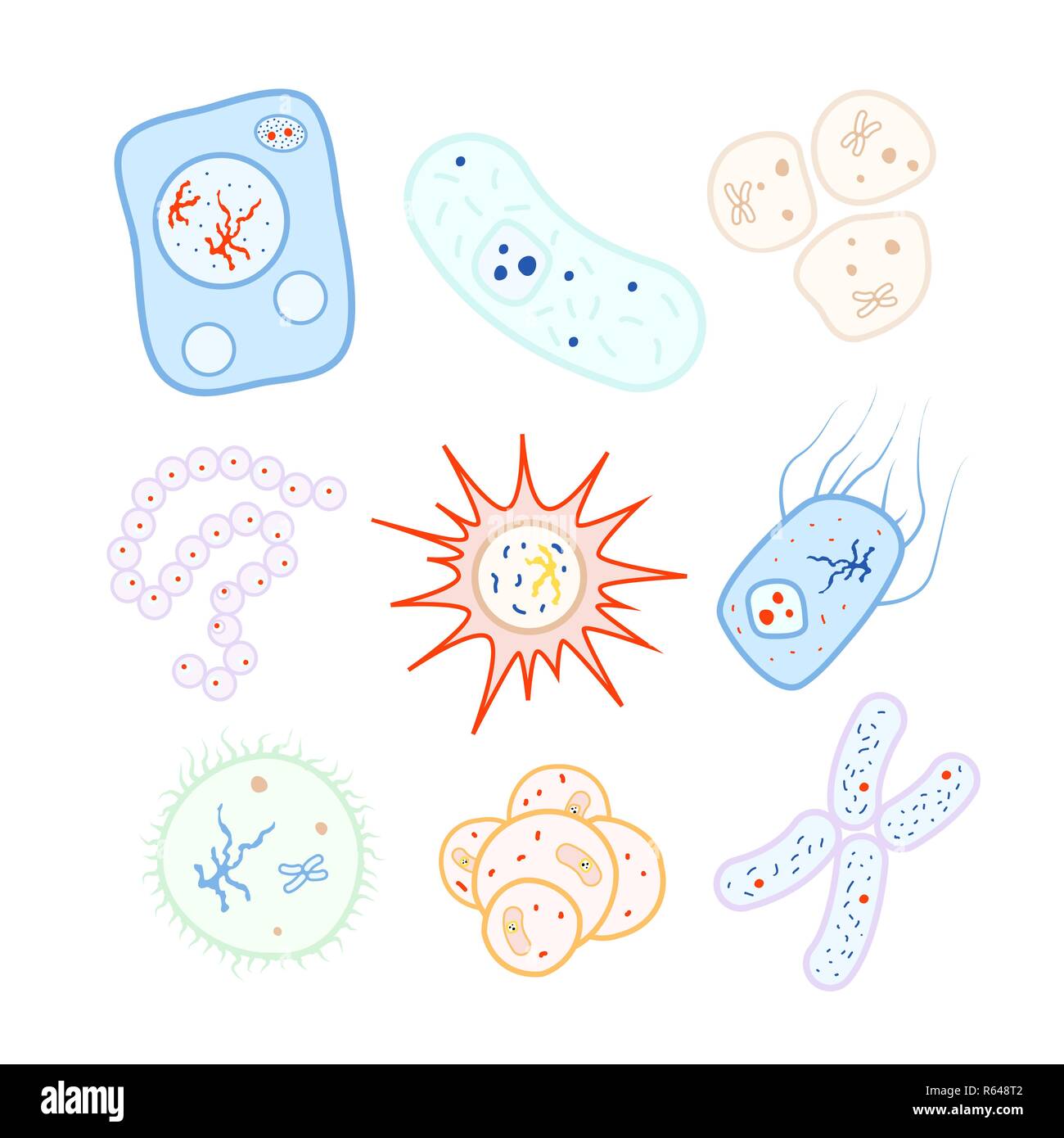 Large set of bright colorful biology cells, bacteria and virus icons on white Stock Vector