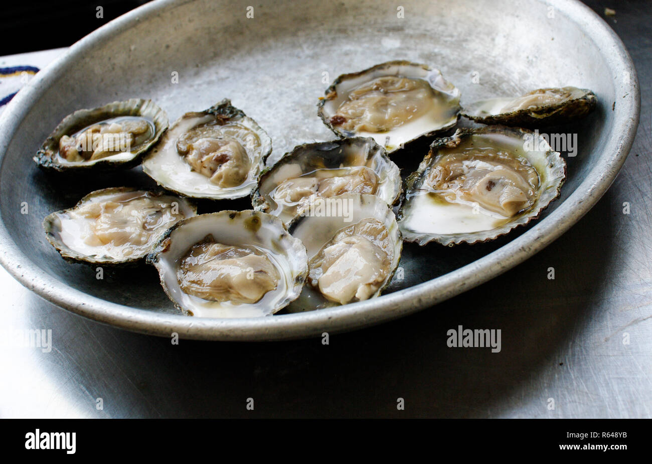 Plated oysters at Falmouth Oyster Festival Stock Photo Alamy