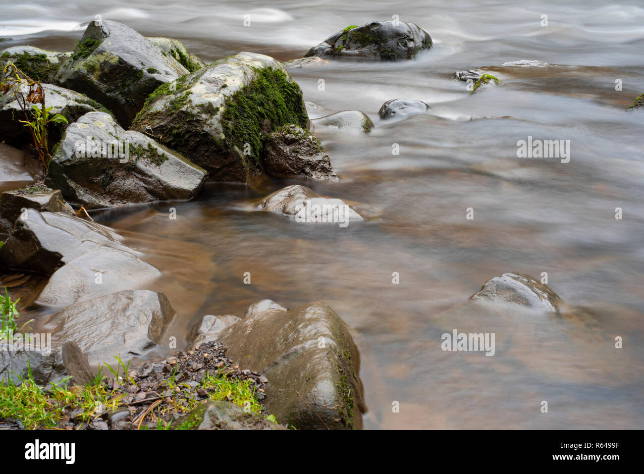 The Linn main image 0