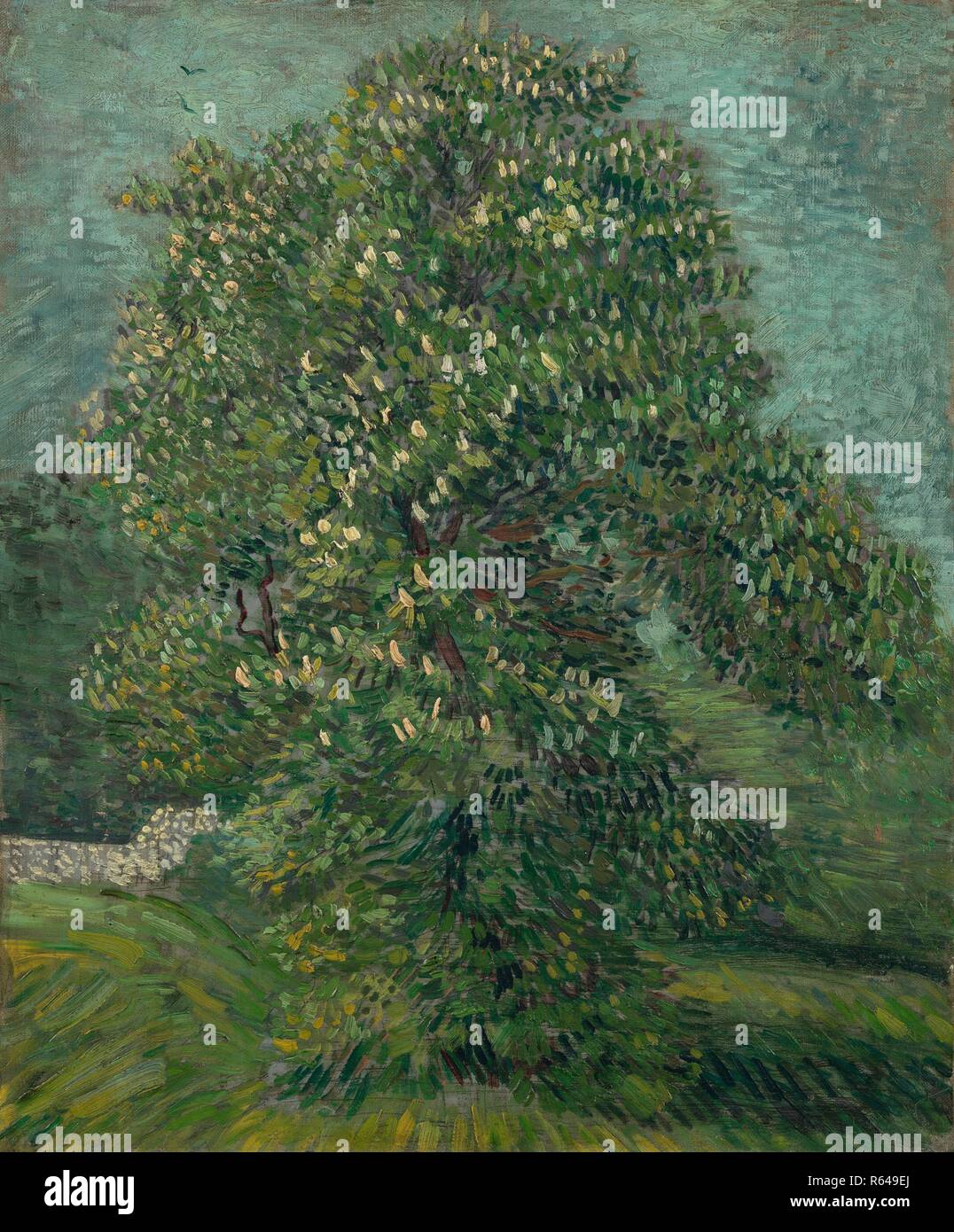 Horse Chestnut Tree in Blossom. Date: May 1887, Paris. Dimensions: 55.8 cm x 46.5 cm, 70.7 cm x 61.5 cm. Museum: Van Gogh Museum, Amsterdam. Author: VAN GOGH, VINCENT. VINCENT VAN GOGH. Stock Photo