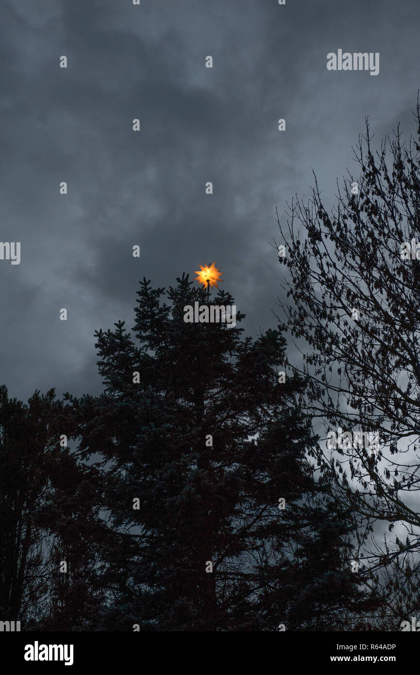 Luminous Christmas Star on Tree Stock Photo