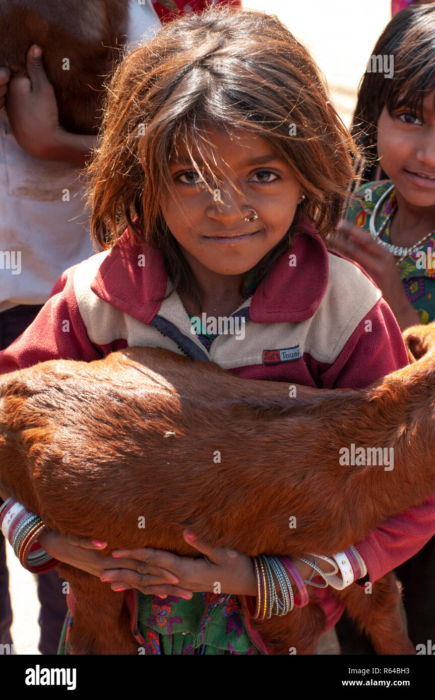 Rabari tribal girl with goat Stock Photo