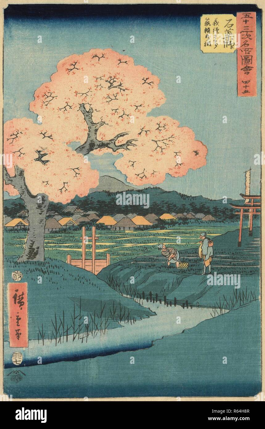 想像を超えての Yoshitsune The Ishiyakushi: Cherry Noriyori the near Tree コレクション