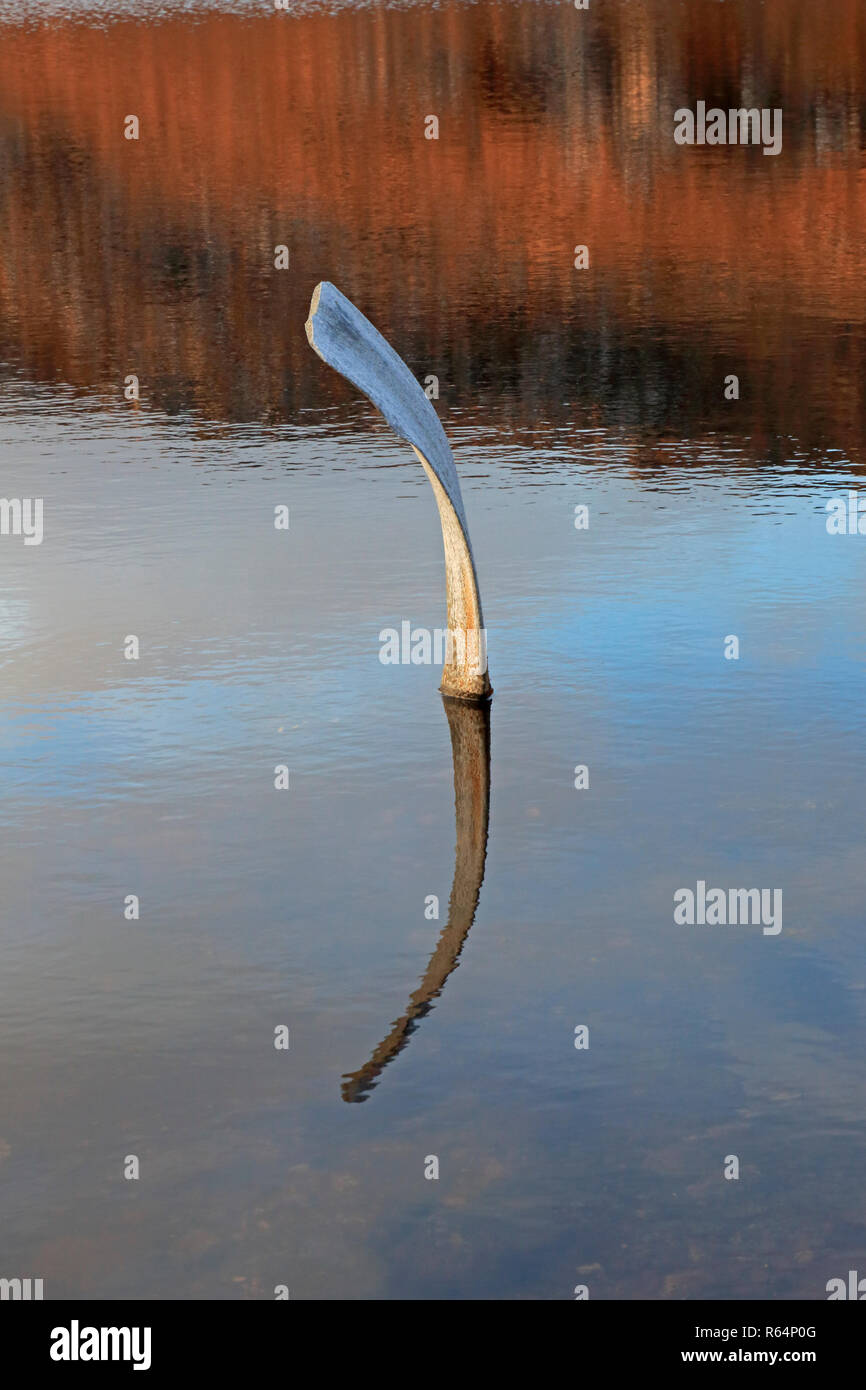 Propeller sticking out of a Loch at a World War two American aircraft crash site in the Torridon Mountains Scotland Stock Photo