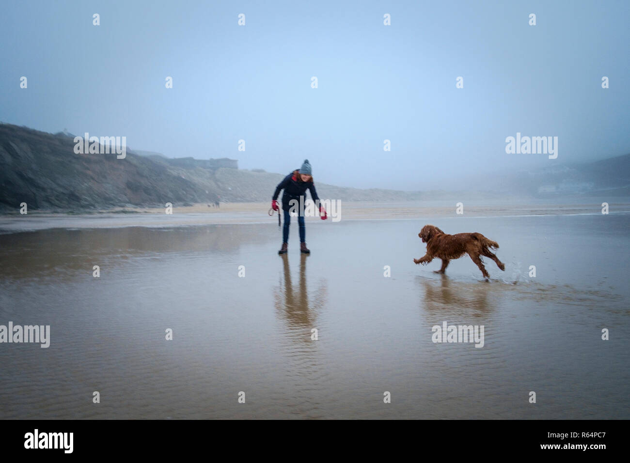 Woman calling her dog who's enjoying a run on the beach. Stock Photo