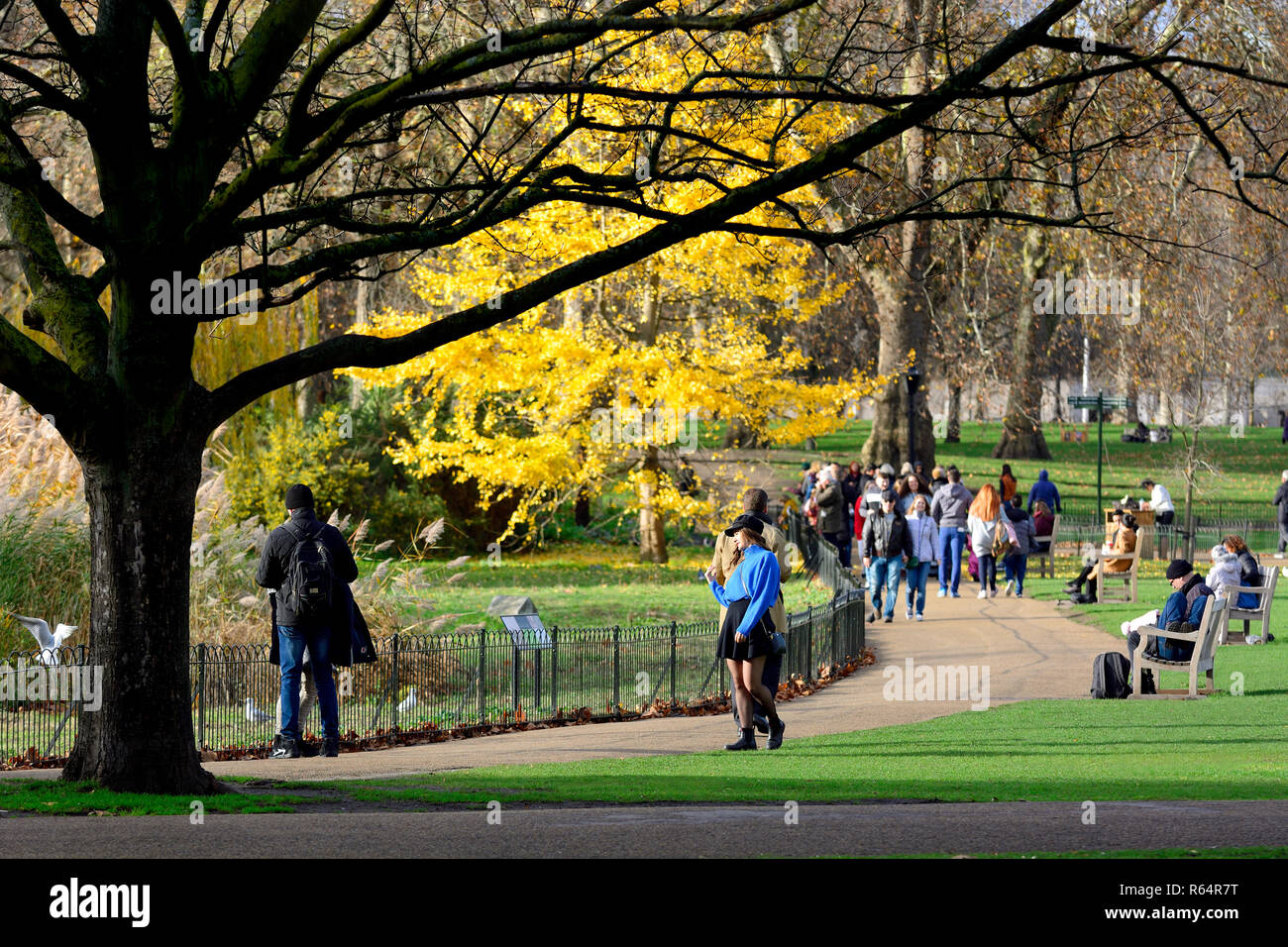 St James's Park in Autumn (November 2018) London, England, UK. Stock Photo