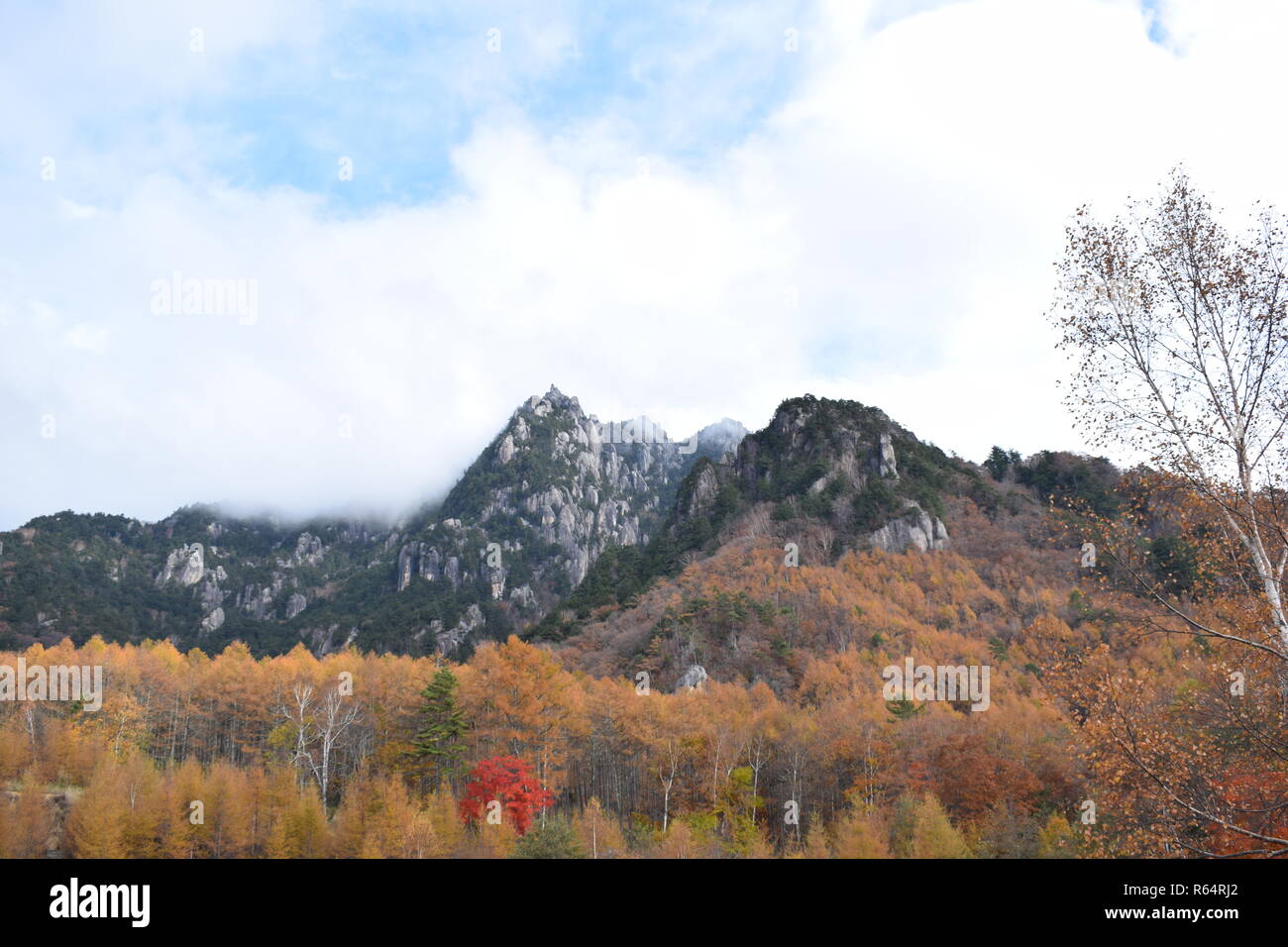 Mt. Mizugaki, Yamanashi Prefecture Japan Stock Photo