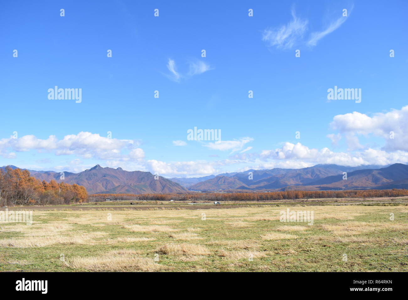 Grass land and mountains, Nagano prefecture, Japan Stock Photo