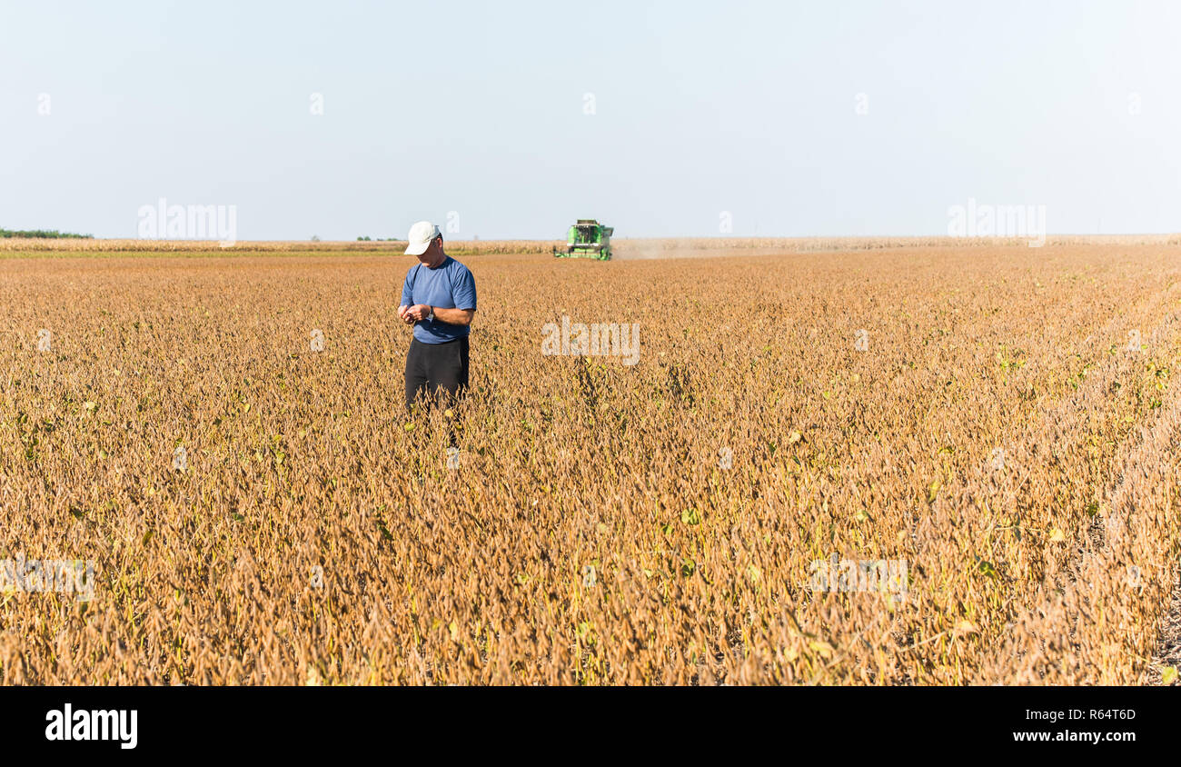 Happy bean plant hi-res stock photography and images - Alamy