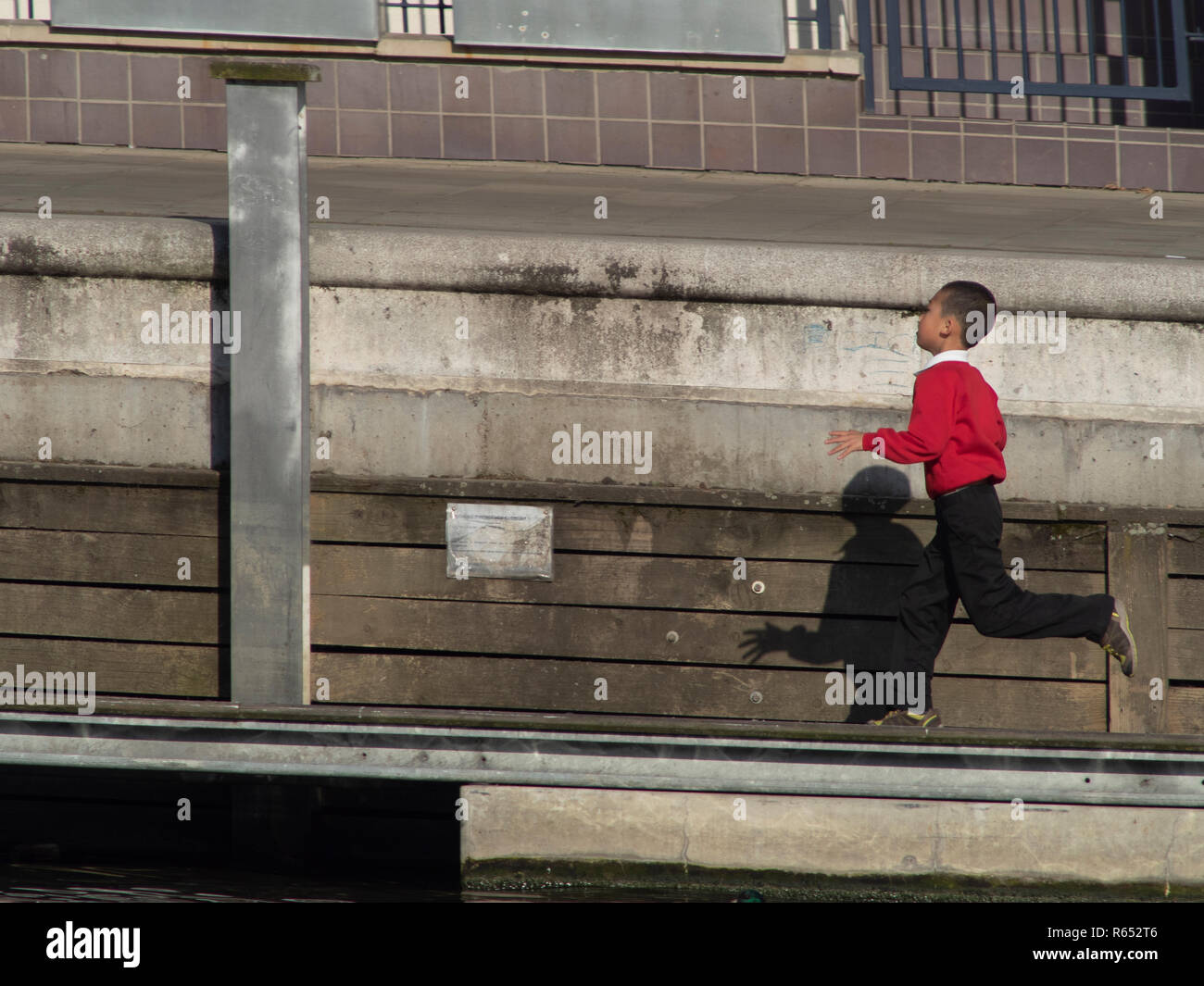 Swans watch young boy running and playing on banks of River Thames at ...