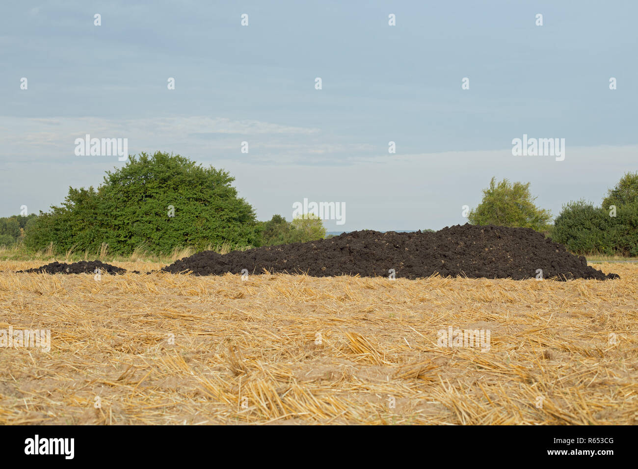 a dung heap on a mown grain field Stock Photo - Alamy