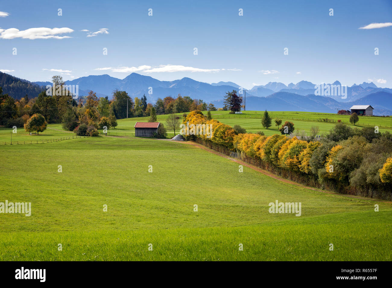 landscape in upper bavaria in autumn with alpine view Stock Photo