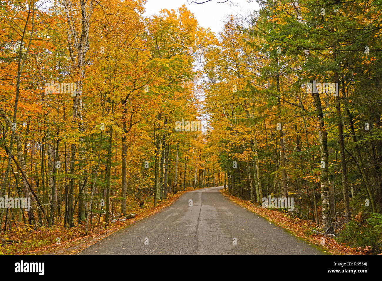 Peninsula Door County Wisconsin Fall Stock Photos