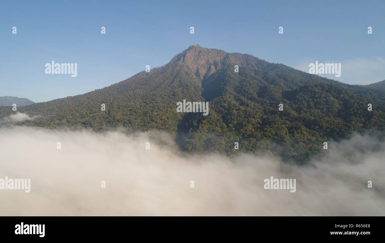 aerial view tropical forest covered clouds with lush vegetation and mountains, java island. tropical landscape, rainforest in mountainous area Indonesia. green, lush vegetation. Stock Photo