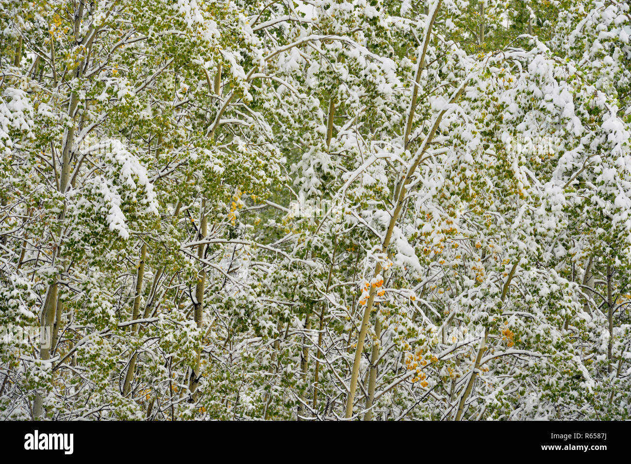 Alaska highway near pink mountain hires stock photography and images