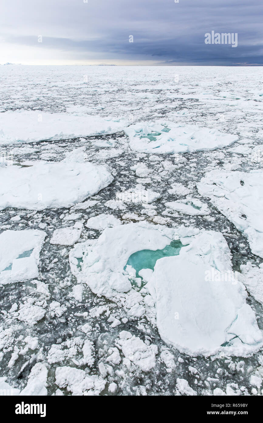First year sea ice at Cape Fanshawe, Spitsbergen, Svalbard, Norway. Stock Photo