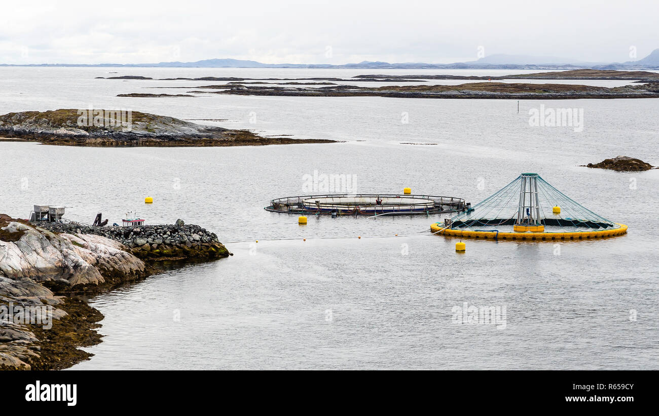 Salmon fishing pens near the fishing village of Veilholmen on the island of Smola, Norway. Stock Photo