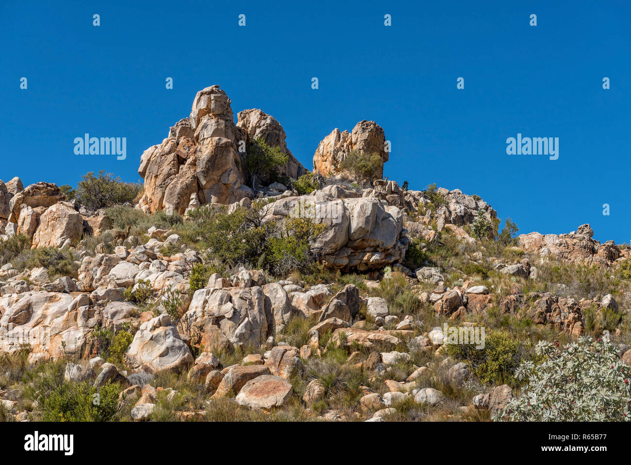 Phrygien hi-res stock photography and images - Alamy
