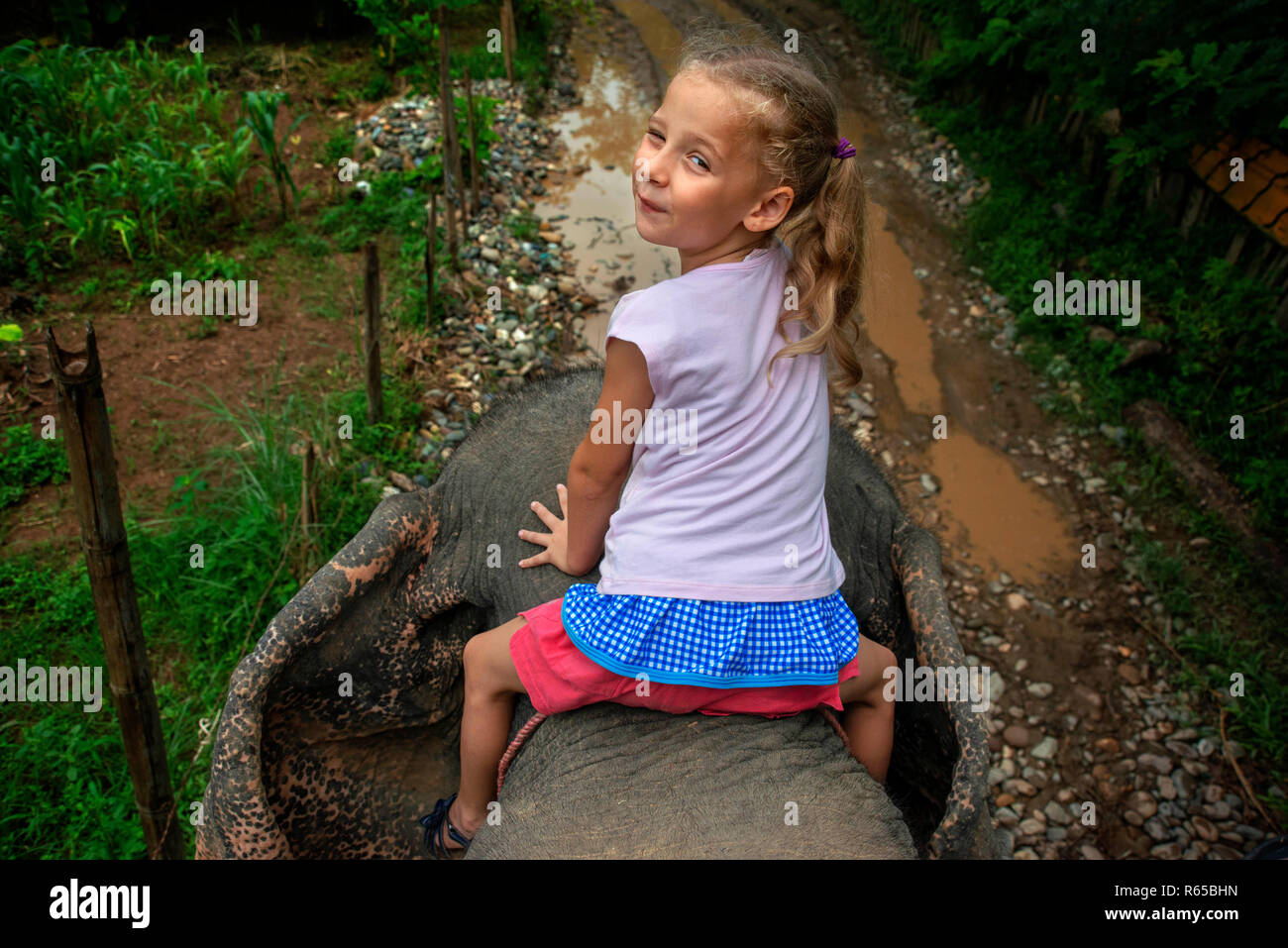 Girl riding an elephant hi-res stock photography and images - Alamy