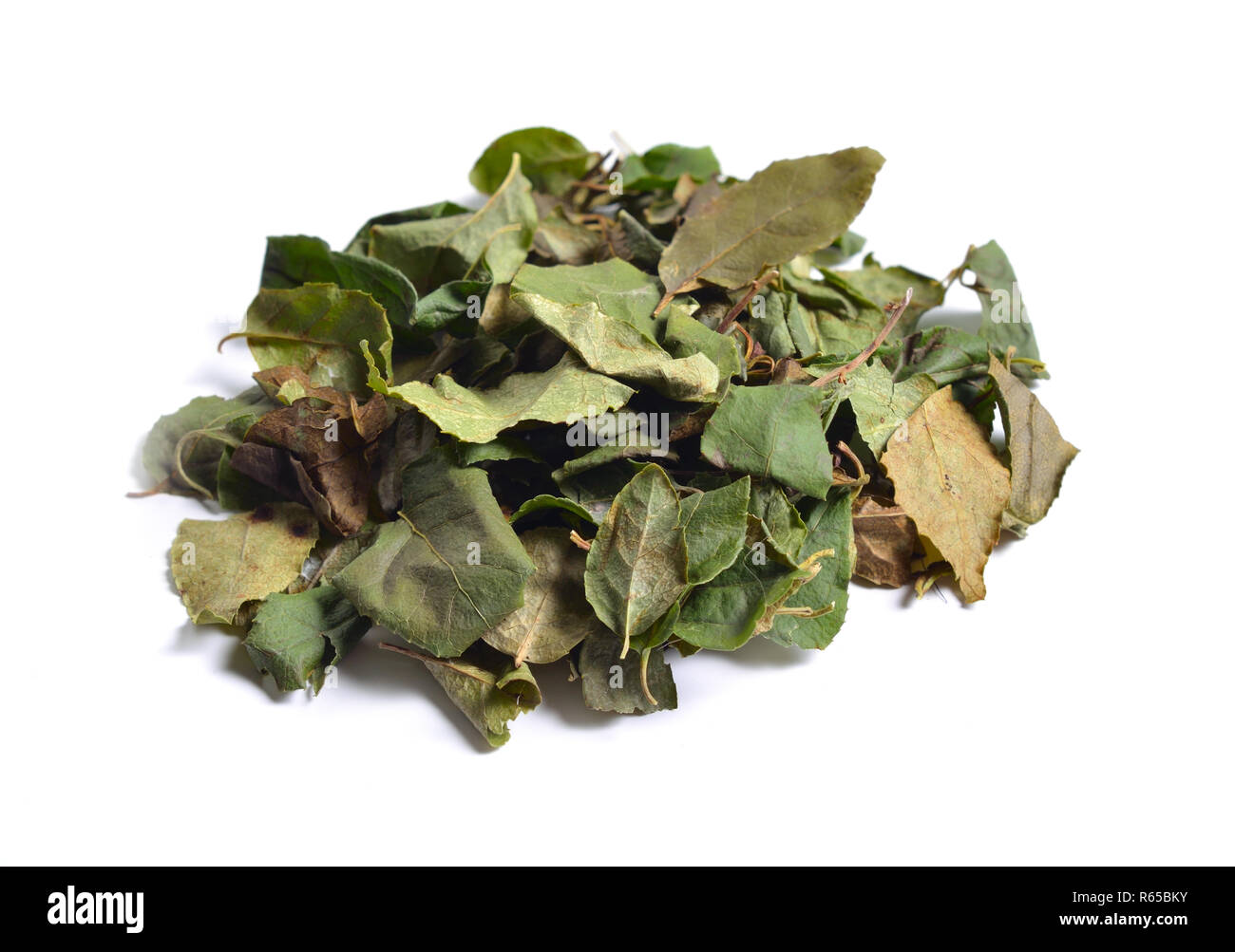 Dried medicinal herbs raw materials isolated on white. Leaves of Orthilia secunda. Stock Photo