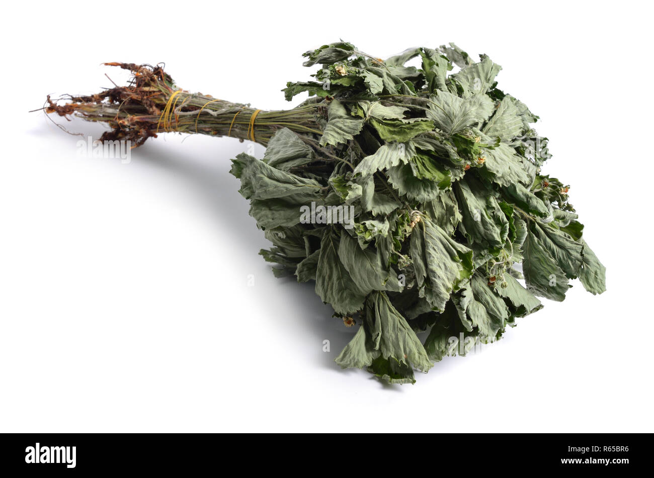 Dried medicinal herbs raw materials isolated on white. Fragaria. Stock Photo