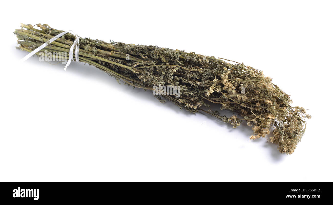 Dried medicinal herbs raw materials isolated on white. Conium maculatum, the hemlock or poison hemlock. Stock Photo