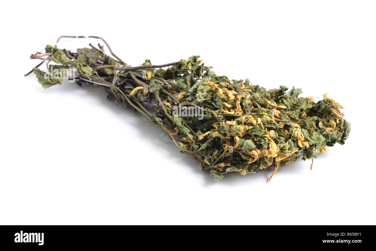 Dried medicinal herbs raw materials isolated on white. Lamium galeobdolon, commonly known as yellow archangel, artillery plant, or aluminium plant Stock Photo