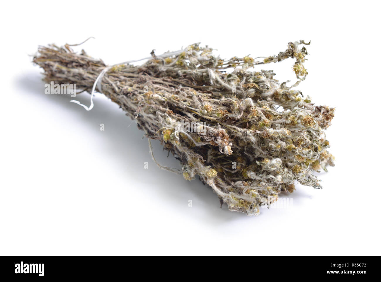 Dried medicinal herbs raw materials isolated on white. Gnaphalium uliginosum or marsh cudweed Stock Photo