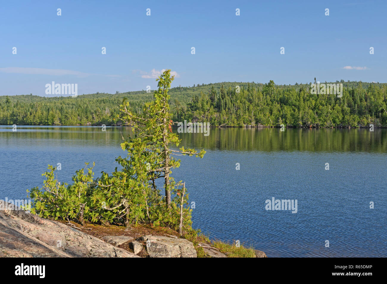 Sunny Day on a North Woods Island Stock Photo