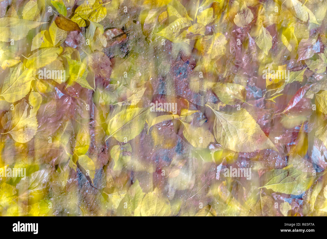 Colorful abstract background Stock Photo - Alamy